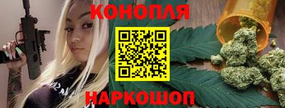 крисы Новозыбков