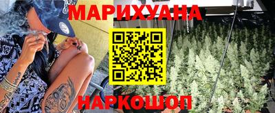 крисы Новозыбков