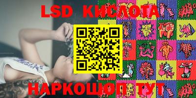 стафф Новодвинск