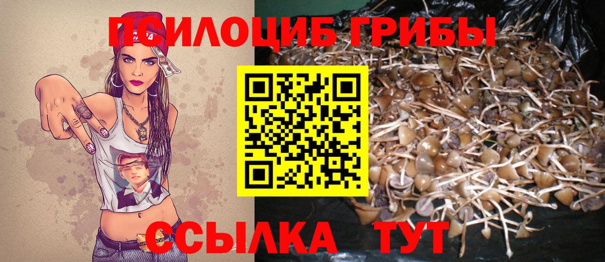 Галлюциногенные грибы GOLDEN TEACHER Краснокамск