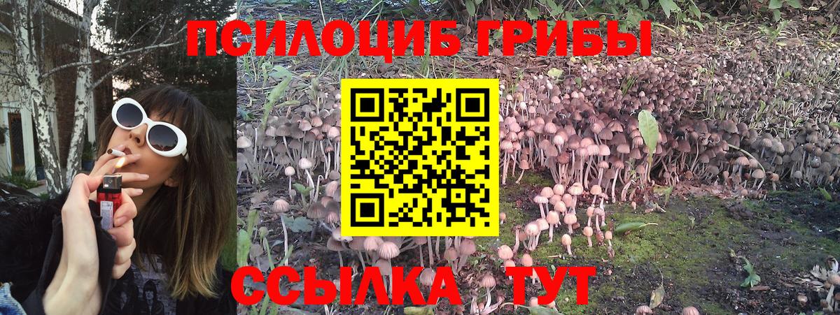 Краснокамск  Псилоцибиновые грибы Cubensis  хочу   Вход с VPN 
